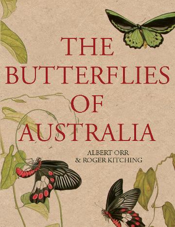 The Butterflies of Australia - 9781741751086 - Albert Orr and Roger Kitching - Jacana - The Little Lost Bookshop