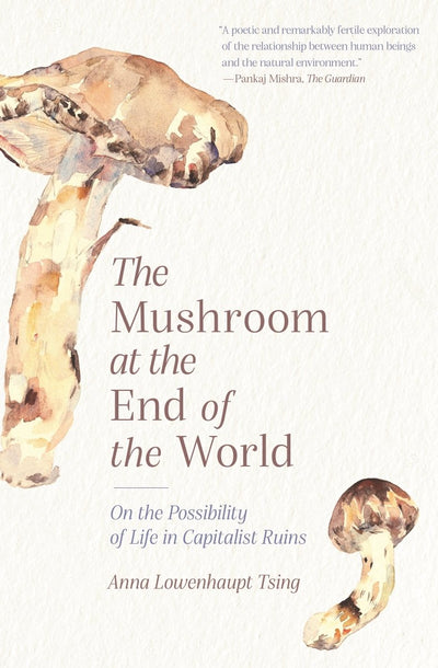 The Mushroom at the End of the World - 9780691220550 - Anna Lowenhaupt Tsing - Princeton University Press - The Little Lost Bookshop