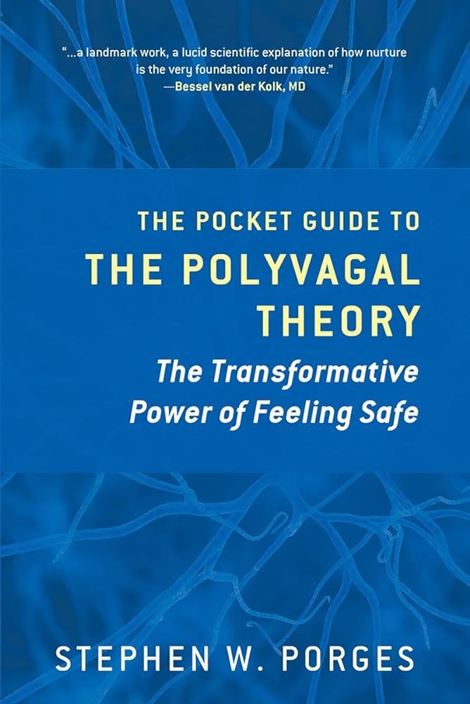 The Pocket Guide to the Polyvagal Theory: The Transformative Power of Feeling Safe (Norton Series on Interpersonal Neurobiology) - 9780393707878 - Stephen W. Porges - John Wiley - The Little Lost Bookshop