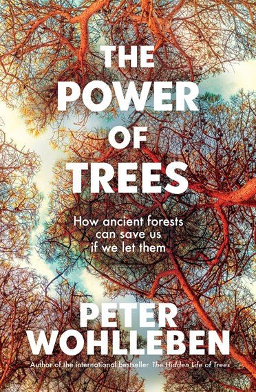 The Power of Trees - 9781760643621 - Peter Wohlleben - Penguin - The Little Lost Bookshop