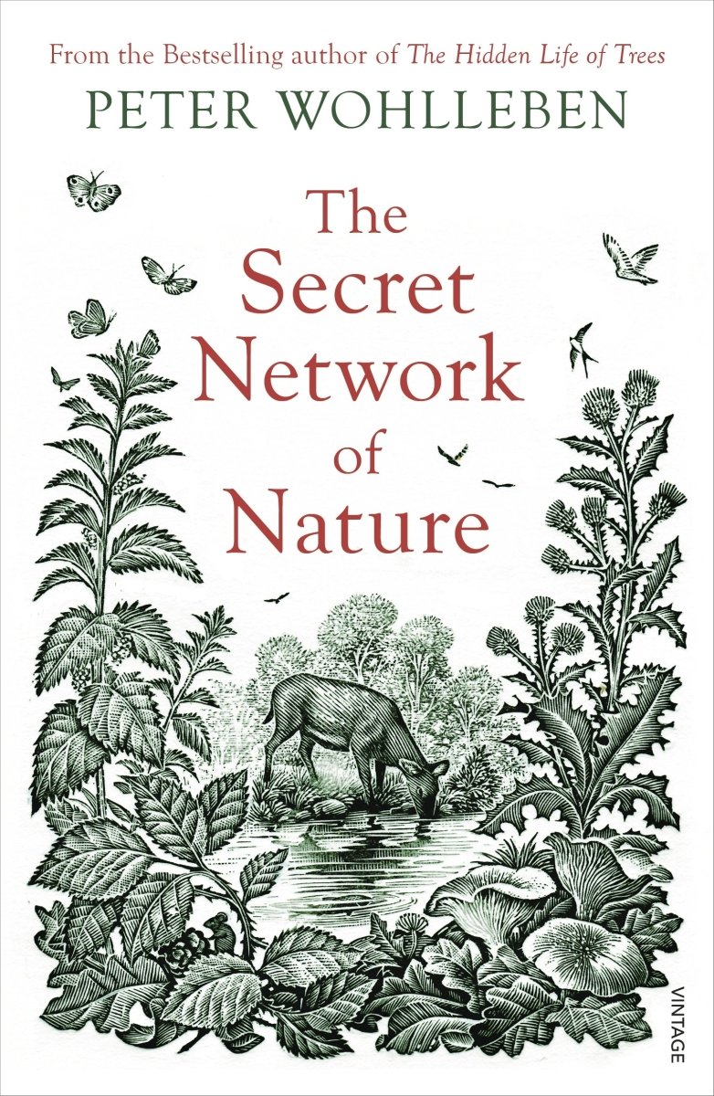 The Secret Network of Nature - 9781784708498 - Peter Wohlleben - Random House - The Little Lost Bookshop