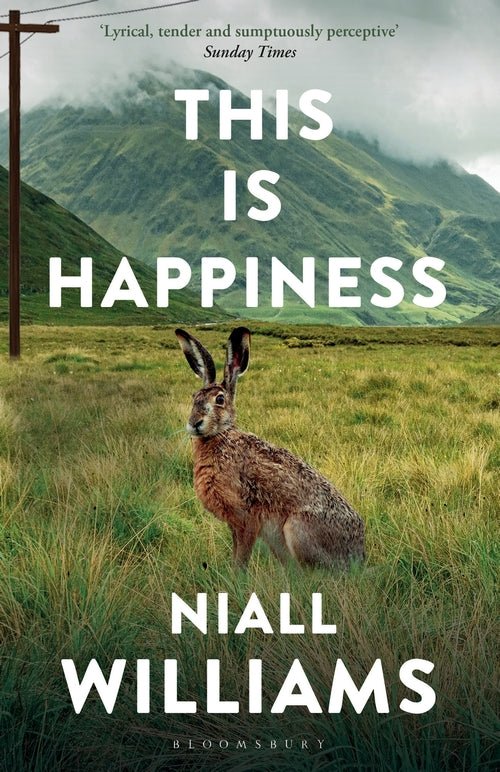This Is Happiness - 9781526609359 - Niall Williams - Bloomsbury - The Little Lost Bookshop