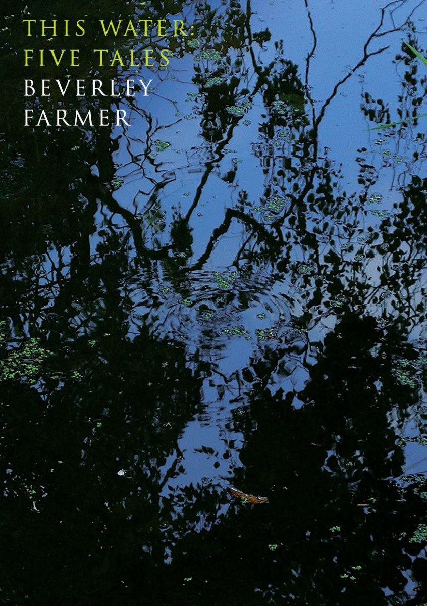This Water - 9781925336313 - Beverley Farmer - Giramondo Publishing - The Little Lost Bookshop
