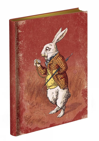 Too Late, Said the Rabbit - 9781851245499 - Bodleian Library - Bodleian Library - The Little Lost Bookshop