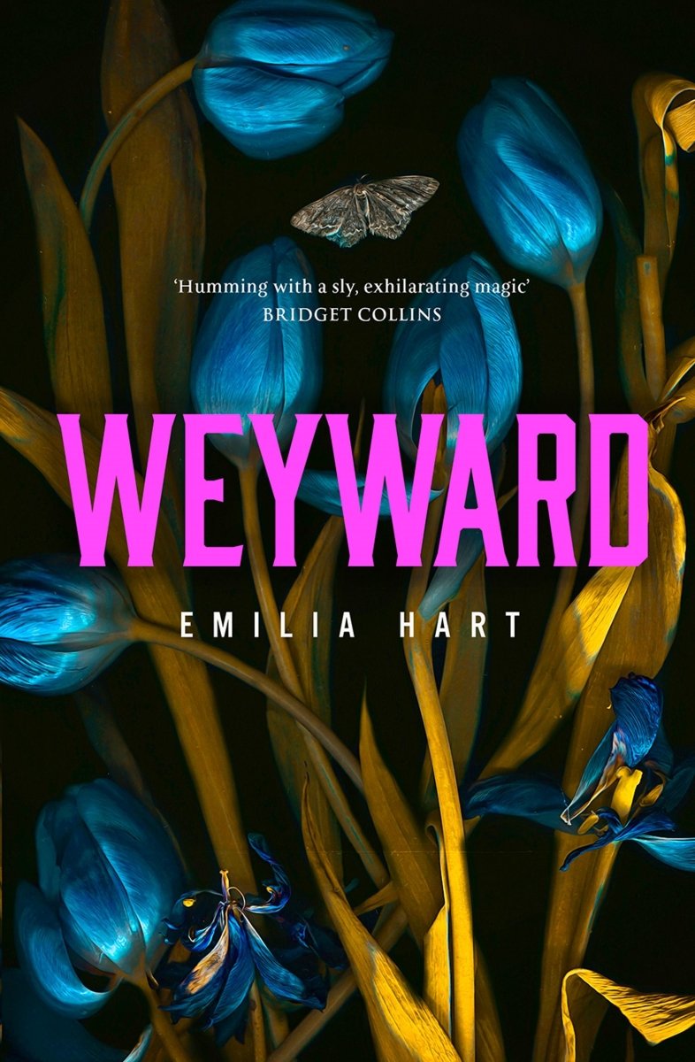 Weyward - 9780008499099 - Emilia Hart - HarperCollins Publishers - The Little Lost Bookshop