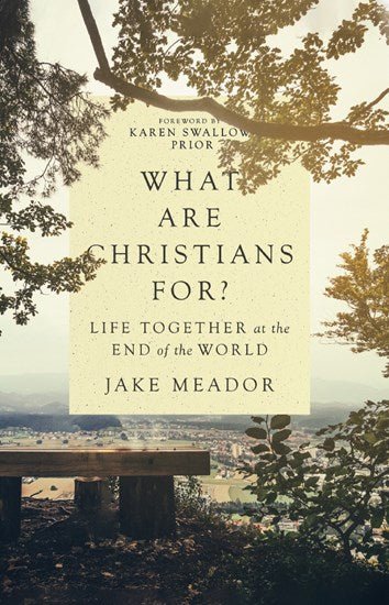What are Christians For? - 9780830847365 - Jake Meador - IVP - The Little Lost Bookshop