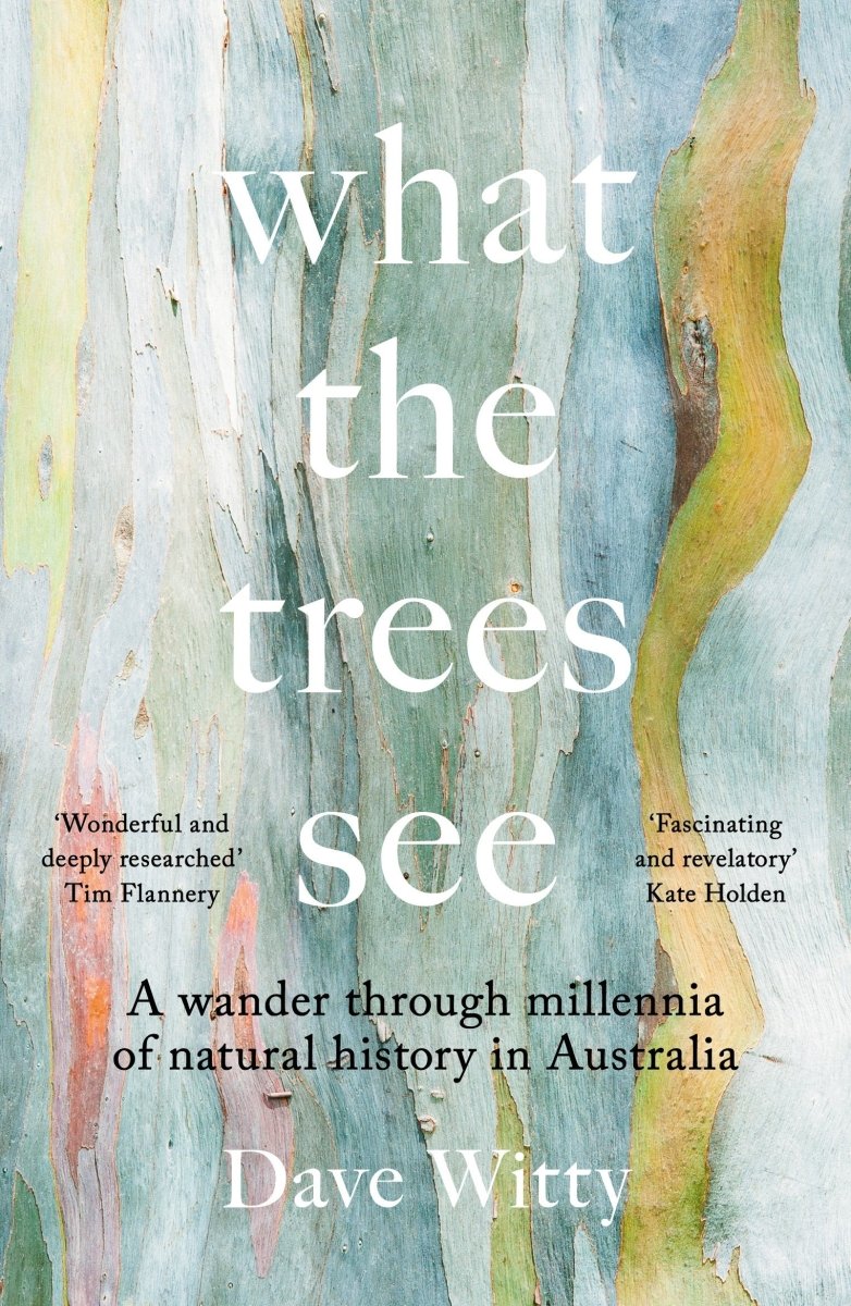What the Trees See - 9781922633842 - Dave Witty - Monash University Publishing - The Little Lost Bookshop