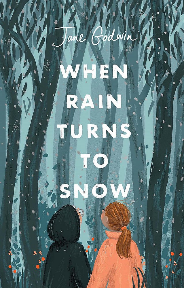 When Rain Turns to Snow - 9780734420053 - Jane Godwin - Lothian Children&