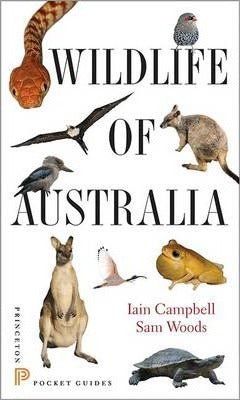 Wildlife of Australia - 9780691153537 - Iain Campbell - Princeton University Press - The Little Lost Bookshop