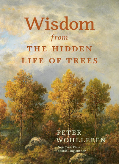 Wisdom from the Hidden Life of Trees - 9781778401404 - Peter Wohlleben - Greystone Books - The Little Lost Bookshop