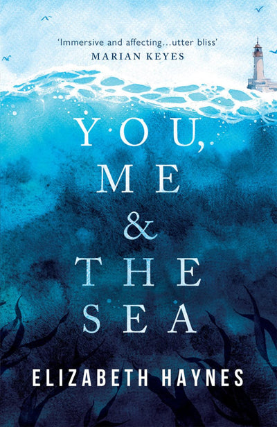 You, Me & The Sea - 9781912408757 - Haynes, Elizabeth - New Internationalist - The Little Lost Bookshop